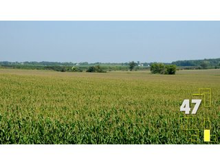 Property photo 172 - Land Auction - 3,379 Acres in 48 Tracts, 2,900 Acres Tillable, Large Contiguous Tracts - Investment Potential